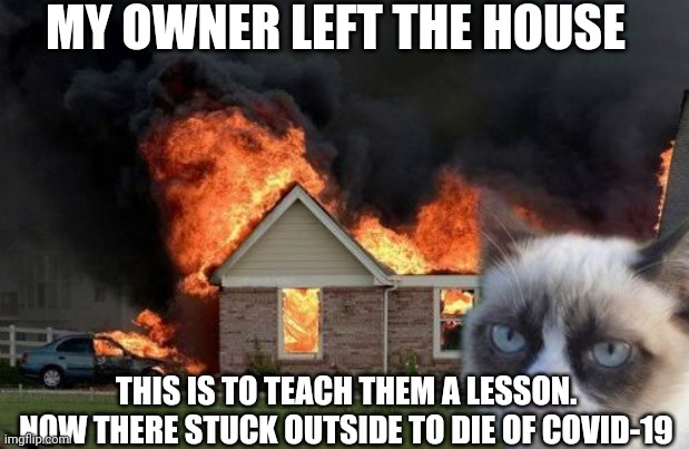 Burn Kitty Meme | MY OWNER LEFT THE HOUSE; THIS IS TO TEACH THEM A LESSON. NOW THERE STUCK OUTSIDE TO DIE OF COVID-19 | image tagged in memes,burn kitty,grumpy cat | made w/ Imgflip meme maker