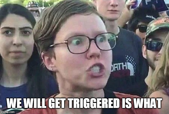 Triggered Liberal | WE WILL GET TRIGGERED IS WHAT | image tagged in triggered liberal | made w/ Imgflip meme maker