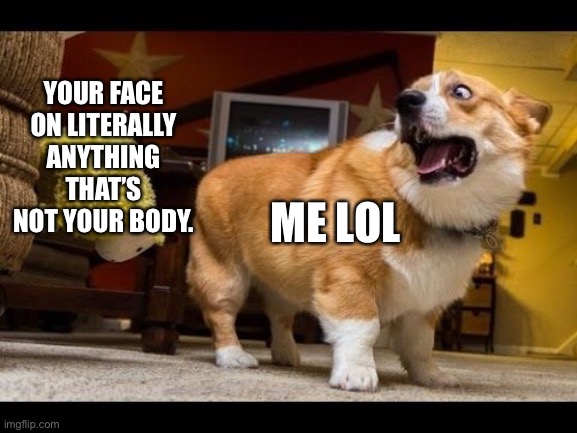 Scared Corgi | YOUR FACE ON LITERALLY ANYTHING THAT’S NOT YOUR BODY. ME LOL | image tagged in scared corgi | made w/ Imgflip meme maker