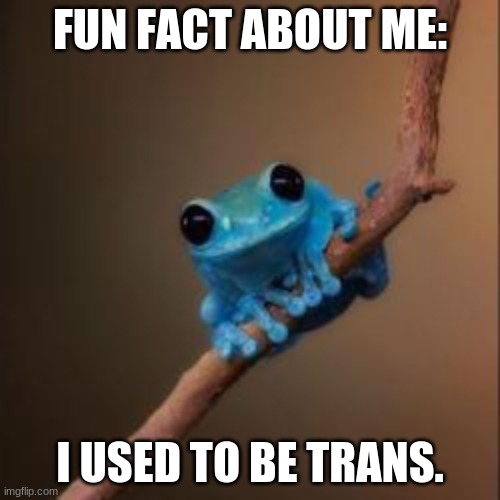 fun fact about me #1 | FUN FACT ABOUT ME:; I USED TO BE TRANS. | image tagged in fun fact frog,trans,my past | made w/ Imgflip meme maker