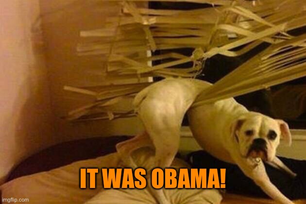 Not my fault  | IT WAS OBAMA! | image tagged in not my fault | made w/ Imgflip meme maker