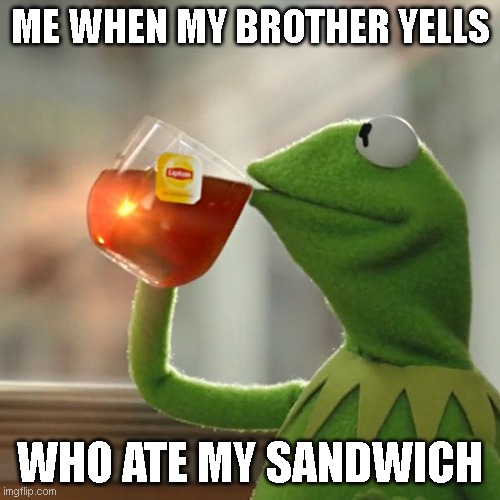 Me when by brother yells | ME WHEN MY BROTHER YELLS; WHO ATE MY SANDWICH | image tagged in memes,but that's none of my business,kermit the frog | made w/ Imgflip meme maker