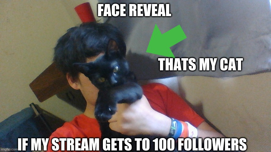 FACE REVEAL; THATS MY CAT; IF MY STREAM GETS TO 100 FOLLOWERS | made w/ Imgflip meme maker
