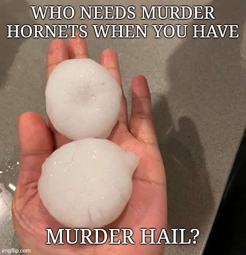 Murder hail | WHO NEEDS MURDER HORNETS WHEN YOU HAVE; MURDER HAIL? | image tagged in weather | made w/ Imgflip meme maker