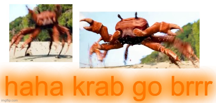 haha krab go brrr | made w/ Imgflip meme maker