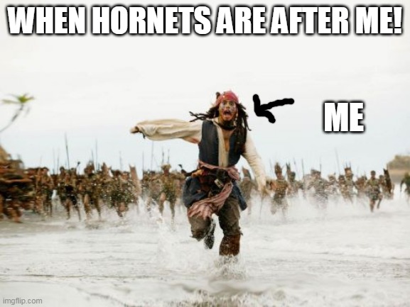 2020 | WHEN HORNETS ARE AFTER ME! ME | image tagged in memes,jack sparrow being chased | made w/ Imgflip meme maker