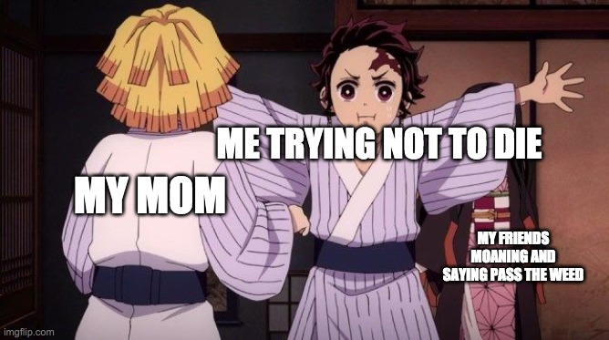 uh oh | ME TRYING NOT TO DIE; MY MOM; MY FRIENDS MOANING AND SAYING PASS THE WEED | image tagged in tanjro blocking something | made w/ Imgflip meme maker