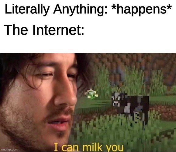 That's the Internet in a nutshell. | Literally Anything: *happens*; The Internet: | image tagged in internet,in a nutshell | made w/ Imgflip meme maker