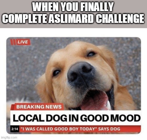 WHEN YOU FINALLY COMPLETE ASLIMARD CHALLENGE | image tagged in funny | made w/ Imgflip meme maker