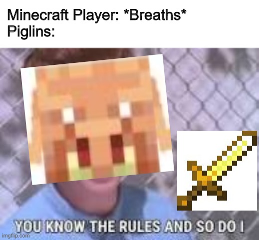 Nether Update looks good... | Minecraft Player: *Breaths*
Piglins: | image tagged in memes | made w/ Imgflip meme maker