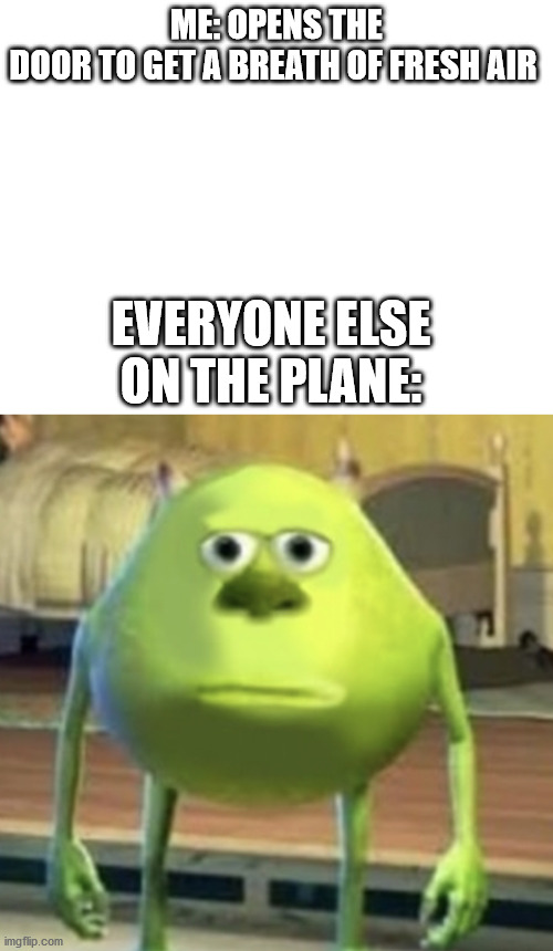 ME: OPENS THE DOOR TO GET A BREATH OF FRESH AIR; EVERYONE ELSE ON THE PLANE: | image tagged in blank white template,mike wazowski face swap,mike wazowski | made w/ Imgflip meme maker