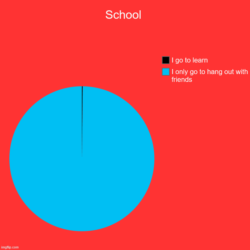 School | I only go to hang out with friends, I go to learn | image tagged in charts,pie charts | made w/ Imgflip chart maker