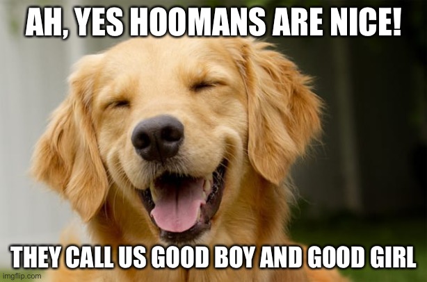AH, YES HOOMANS ARE NICE! THEY CALL US GOOD BOY AND GOOD GIRL | made w/ Imgflip meme maker
