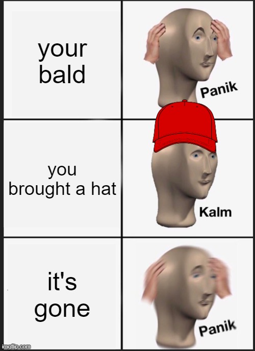 bald | your bald; you brought a hat; it's gone | image tagged in memes,panik kalm panik | made w/ Imgflip meme maker