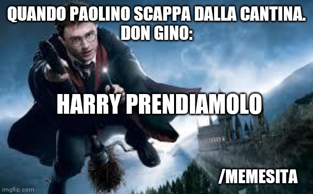 Harry Potter flying | QUANDO PAOLINO SCAPPA DALLA CANTINA.
DON GINO:; HARRY PRENDIAMOLO; /MEMESITA | image tagged in harry potter flying | made w/ Imgflip meme maker