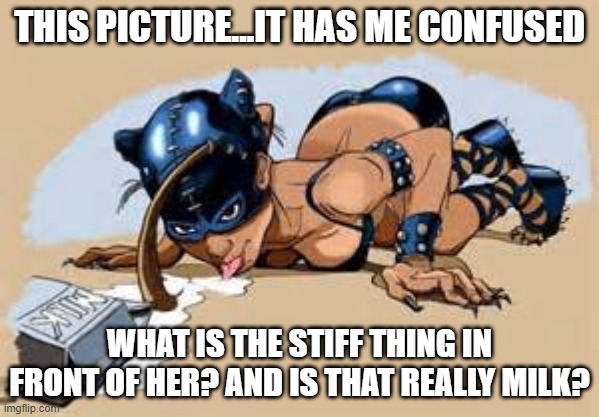 Strange Cat Woman Pic | THIS PICTURE...IT HAS ME CONFUSED; WHAT IS THE STIFF THING IN FRONT OF HER? AND IS THAT REALLY MILK? | image tagged in cat woman | made w/ Imgflip meme maker