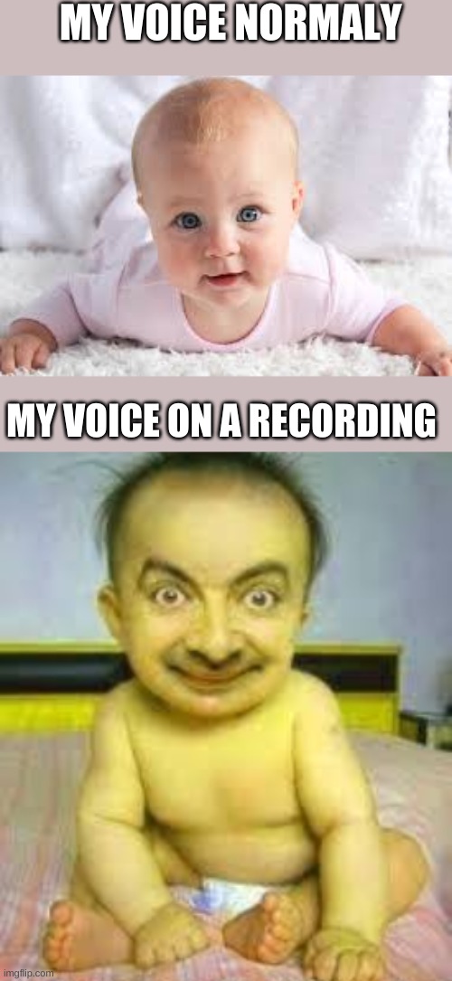 idk why i made this | MY VOICE NORMALY; MY VOICE ON A RECORDING | image tagged in memes | made w/ Imgflip meme maker
