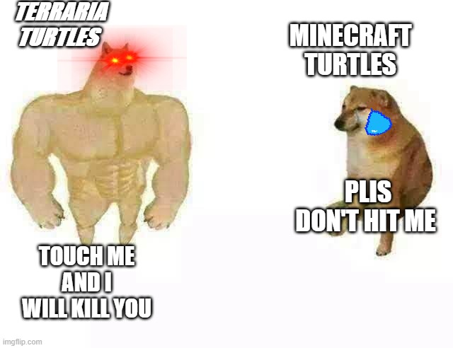 turtle | TERRARIA TURTLES; MINECRAFT TURTLES; PLIS DON'T HIT ME; TOUCH ME AND I WILL KILL YOU | image tagged in buff doge vs cheems | made w/ Imgflip meme maker