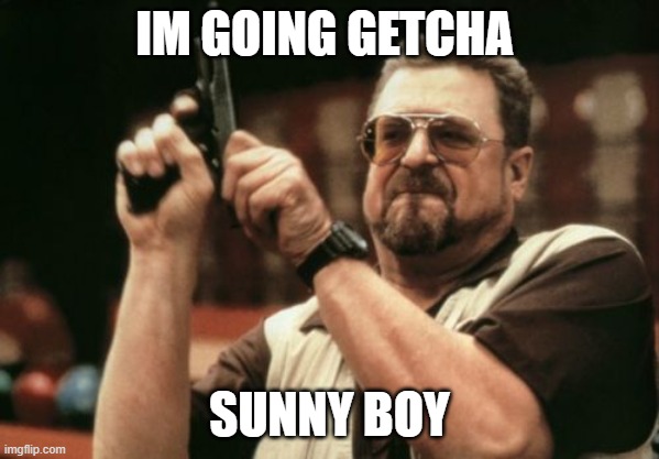 Am I The Only One Around Here Meme | IM GOING GETCHA; SUNNY BOY | image tagged in memes,am i the only one around here | made w/ Imgflip meme maker