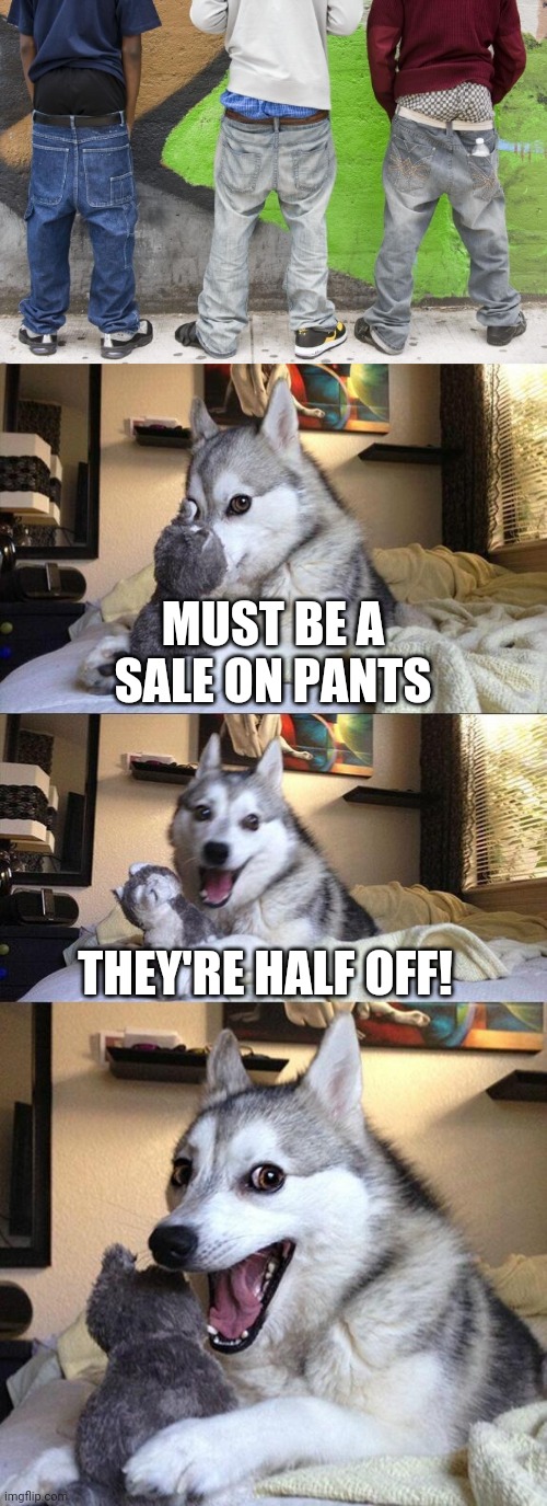 MUST BE A SALE ON PANTS THEY'RE HALF OFF! | image tagged in memes,bad pun dog | made w/ Imgflip meme maker