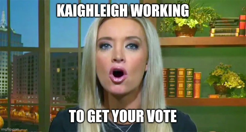 KAIGHLEIGH WORKING TO GET YOUR VOTE | made w/ Imgflip meme maker