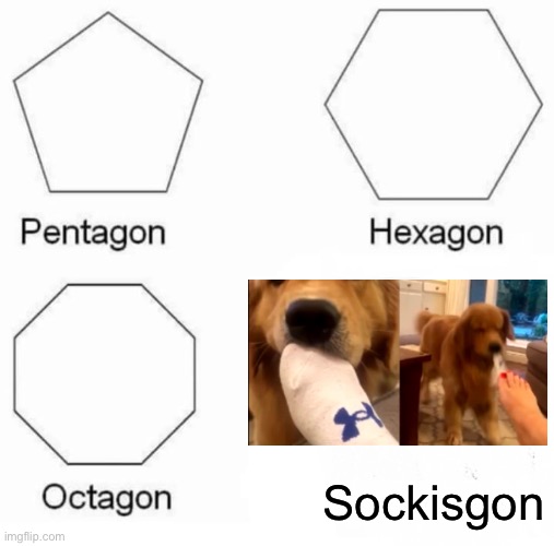 Pentagon Hexagon Octagon | Sockisgon | image tagged in memes,pentagon hexagon octagon | made w/ Imgflip meme maker