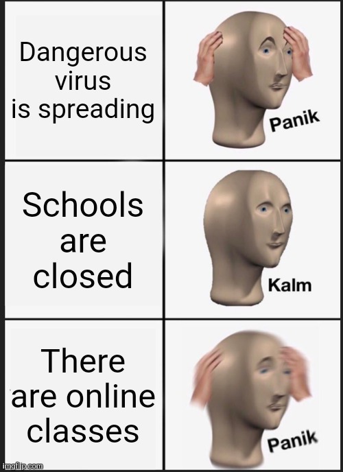 Virus in a nutshell | Dangerous virus is spreading; Schools are closed; There are online classes | image tagged in memes,panik kalm panik | made w/ Imgflip meme maker