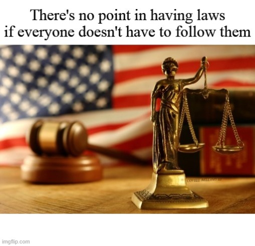 Laws No Point In Having Them If Everyone Doesn't Have To Follow | image tagged in laws no point in having them if everyone doesn't have to follow | made w/ Imgflip meme maker