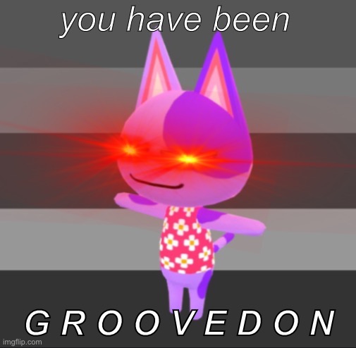C A T G R O O V E | you have been; G R O O V E D O N | image tagged in animal crossing,cat groove,bob | made w/ Imgflip meme maker