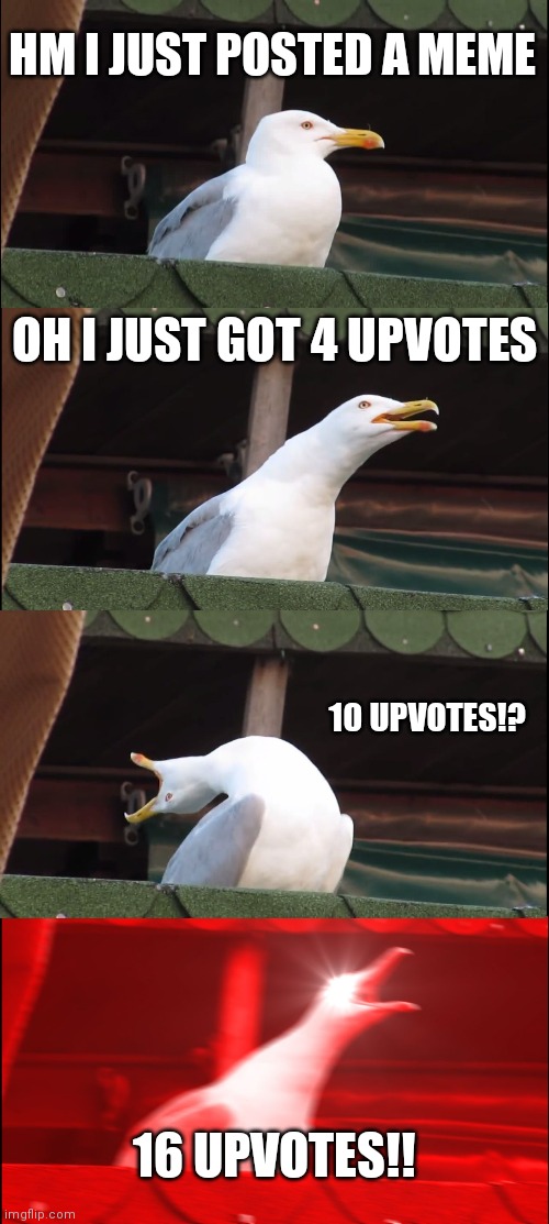 Imgflip noobs be like: | HM I JUST POSTED A MEME; OH I JUST GOT 4 UPVOTES; 10 UPVOTES!? 16 UPVOTES!! | image tagged in memes,inhaling seagull | made w/ Imgflip meme maker