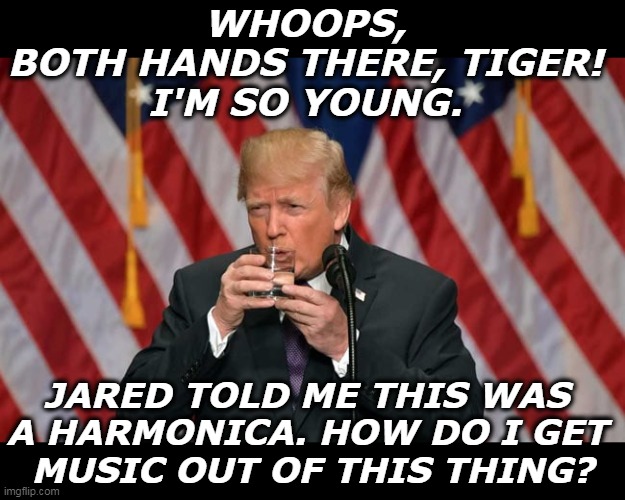 Old Man Trump's throat gets dry spouting bullshit. | WHOOPS, 
BOTH HANDS THERE, TIGER! 
I'M SO YOUNG. JARED TOLD ME THIS WAS 
A HARMONICA. HOW DO I GET 
MUSIC OUT OF THIS THING? | image tagged in trump,glass of water,tremors,old,elderly | made w/ Imgflip meme maker