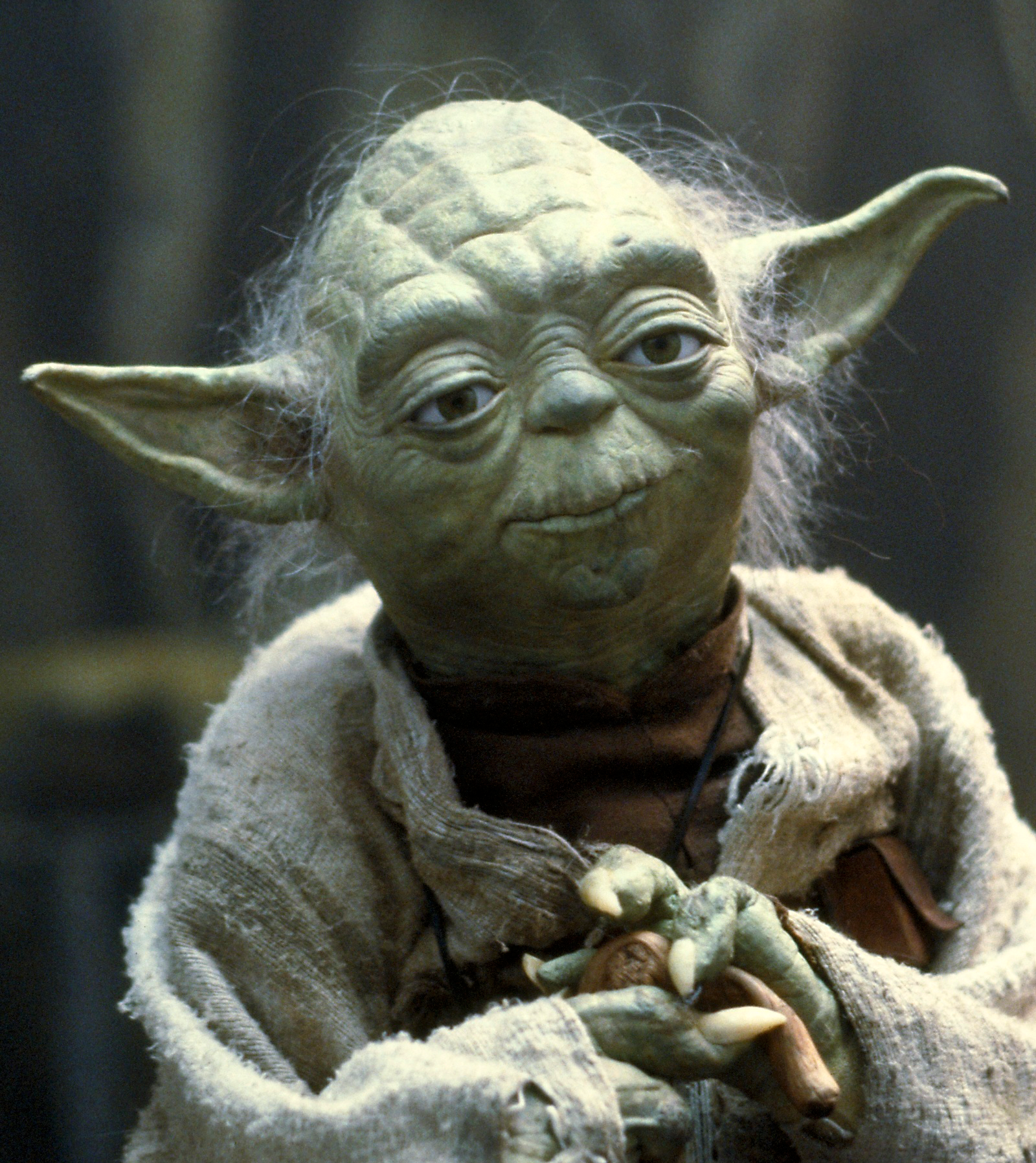 Yoda Wisdom Blank Meme Template