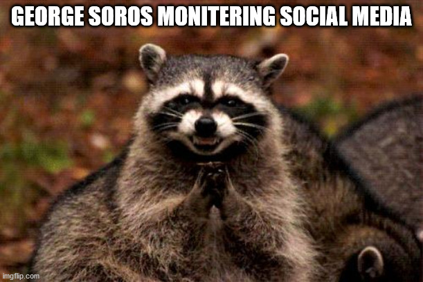 Evil Plotting Raccoon Meme | GEORGE SOROS MONITERING SOCIAL MEDIA | image tagged in memes,evil plotting raccoon | made w/ Imgflip meme maker