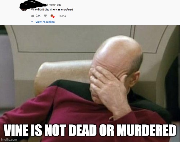 Comments on iconic tik toks to watch because vine died | VINE IS NOT DEAD OR MURDERED | image tagged in memes,captain picard facepalm | made w/ Imgflip meme maker
