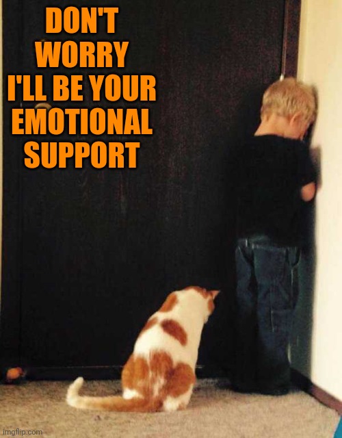 TROUBLE CAUSERS | DON'T WORRY
I'LL BE YOUR EMOTIONAL SUPPORT | image tagged in cats,funny cats | made w/ Imgflip meme maker