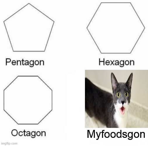 Pentagon Hexagon Octagon | Myfoodsgon | image tagged in memes,pentagon hexagon octagon | made w/ Imgflip meme maker