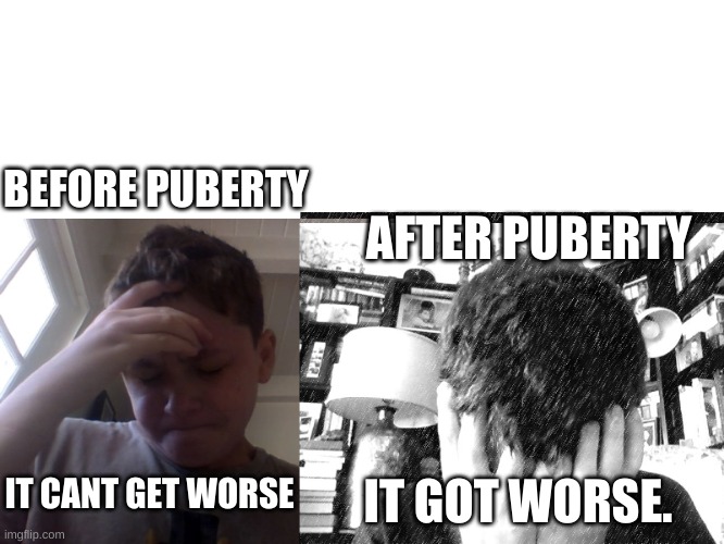 puberty be sad | AFTER PUBERTY; BEFORE PUBERTY; IT CANT GET WORSE; IT GOT WORSE. | image tagged in puberty | made w/ Imgflip meme maker