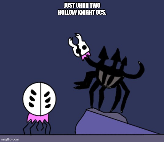 Oc | JUST UHHH TWO HOLLOW KNIGHT OCS. | image tagged in oc,hollow knight | made w/ Imgflip meme maker