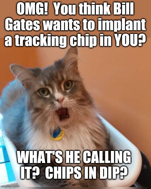 Bill Gates Cat | OMG!  You think Bill Gates wants to implant a tracking chip in YOU? WHAT'S HE CALLING IT?  CHIPS IN DIP? | image tagged in cat,vaccines,bill gates | made w/ Imgflip meme maker