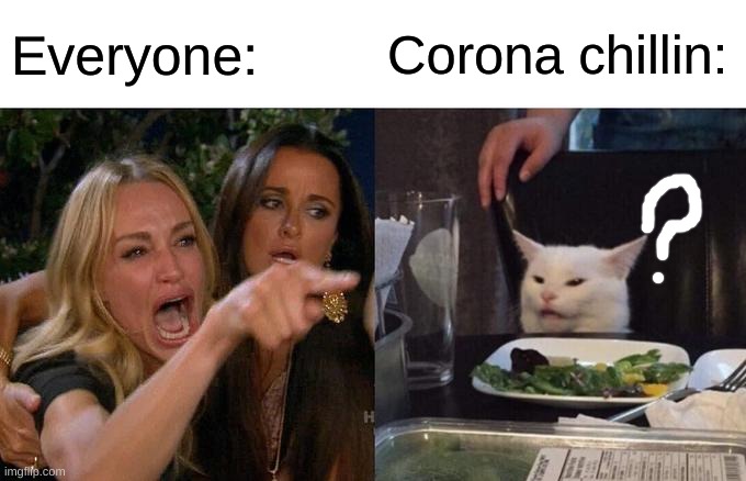 Chillin virus | Everyone:; Corona chillin: | image tagged in memes,woman yelling at cat | made w/ Imgflip meme maker