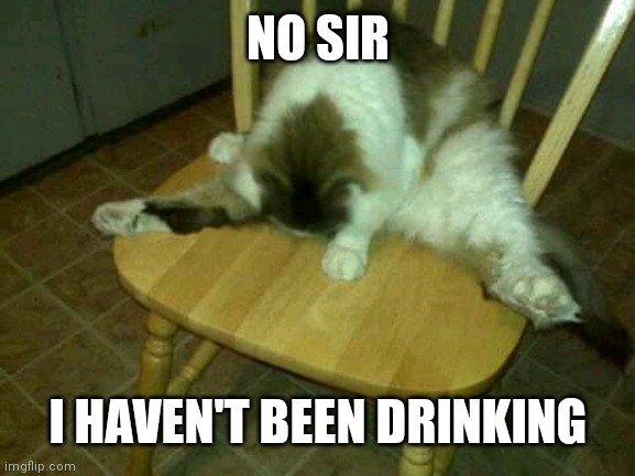 Matt Miller | NO SIR; I HAVEN'T BEEN DRINKING | image tagged in matt miller | made w/ Imgflip meme maker