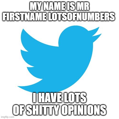 Twitter bot | MY NAME IS MR FIRSTNAME LOTSOFNUMBERS; I HAVE LOTS OF SHITTY OPINIONS | image tagged in twitter birds says | made w/ Imgflip meme maker