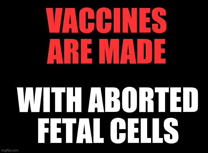 Aborted fetal cells | VACCINES ARE MADE; WITH ABORTED FETAL CELLS | image tagged in blank black | made w/ Imgflip meme maker