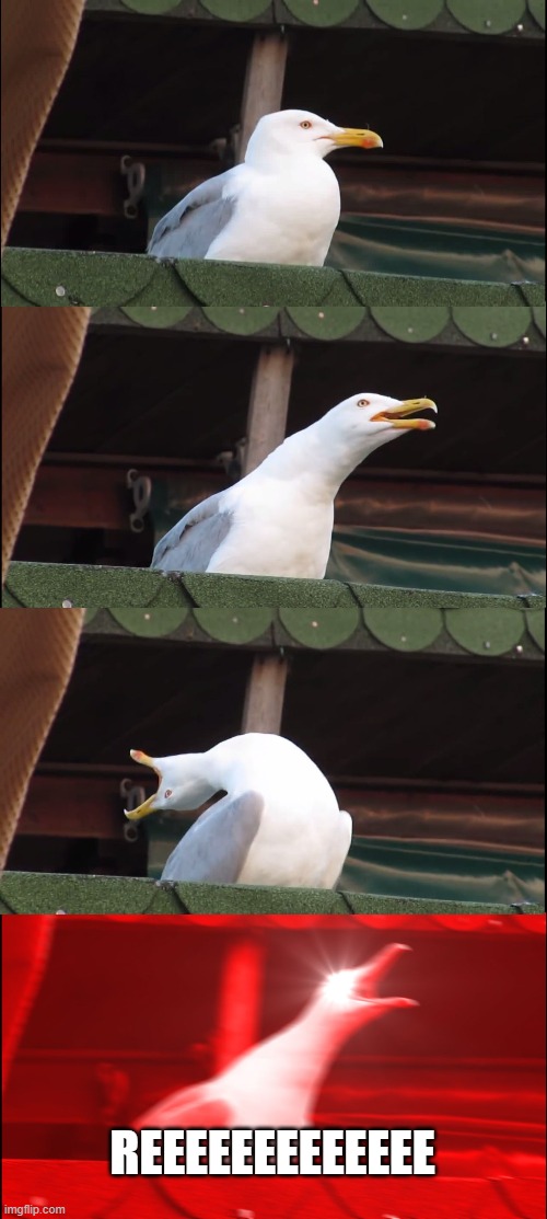 Inhaling Seagull Meme | REEEEEEEEEEEEE | image tagged in memes,inhaling seagull | made w/ Imgflip meme maker