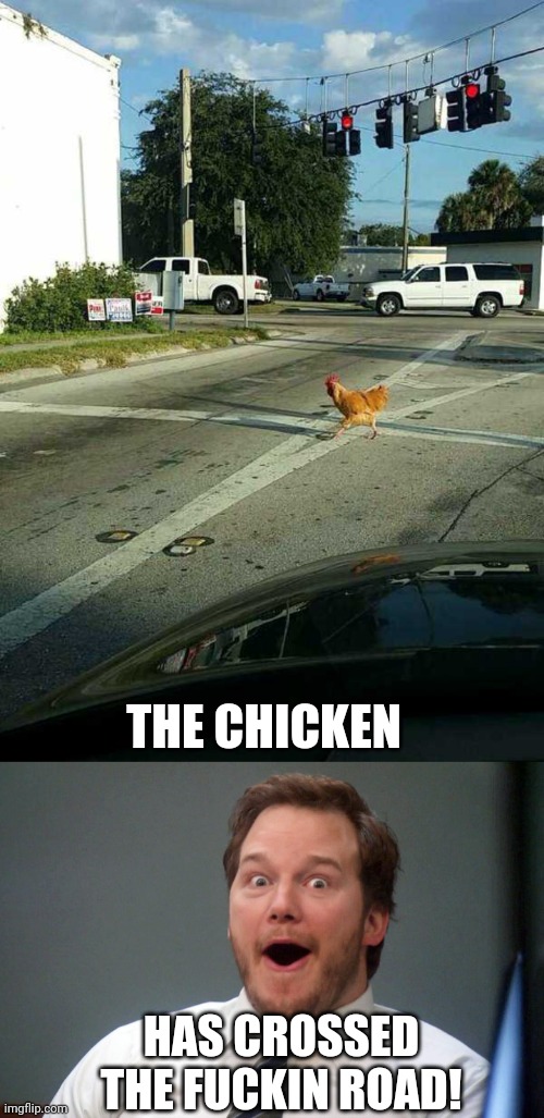 HOLY SHIT | THE CHICKEN; HAS CROSSED THE FUCKIN ROAD! | image tagged in oooohhhh,memes,chicken,why the chicken cross the road | made w/ Imgflip meme maker