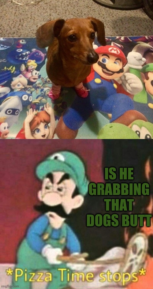 AND DAISY IS PRAISING HIM | IS HE GRABBING THAT DOGS BUTT | image tagged in pizza time stops,memes,super mario,wtf | made w/ Imgflip meme maker