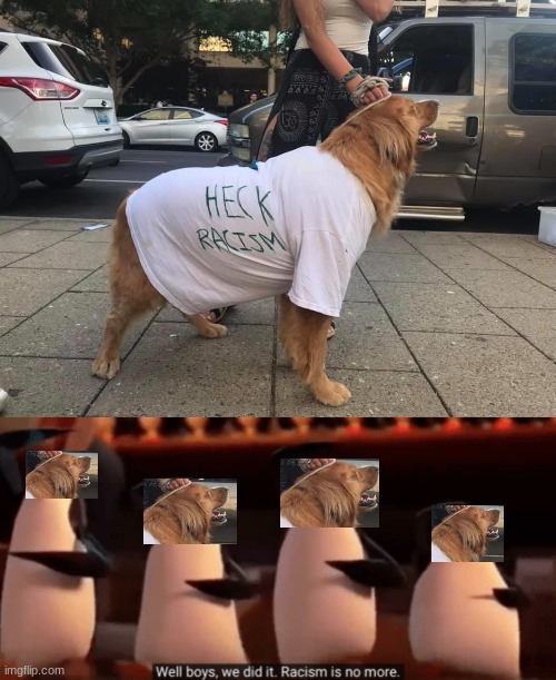 the goodest boi | image tagged in well boys we did it,dog,racism,no racism | made w/ Imgflip meme maker