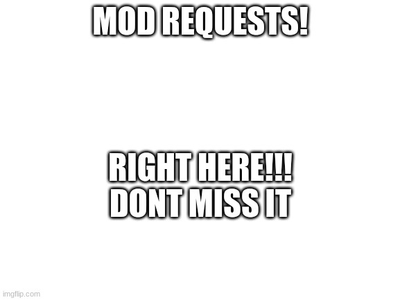 Blank White Template | MOD REQUESTS! RIGHT HERE!!! DONT MISS IT | image tagged in blank white template | made w/ Imgflip meme maker