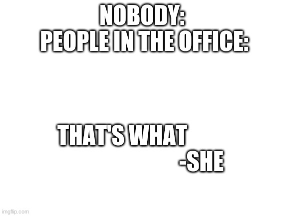 that's what she said | NOBODY: 
PEOPLE IN THE OFFICE:; THAT'S WHAT          
                          -SHE | image tagged in blank white template | made w/ Imgflip meme maker