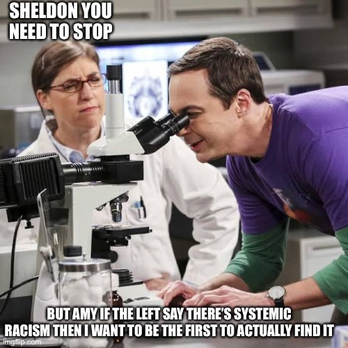 If anyone can Sheldon can | SHELDON YOU NEED TO STOP; BUT AMY IF THE LEFT SAY THERE’S SYSTEMIC RACISM THEN I WANT TO BE THE FIRST TO ACTUALLY FIND IT | image tagged in i can see it now | made w/ Imgflip meme maker